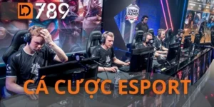 Cá Cược Esport - 5 Phân Tích Soi Kèo Chuẩn Xác Từ Chuyên Gia