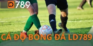 Cá Độ Bóng Đá LD789 - Chinh Phục Kèo Cược Bằng Dữ Liệu