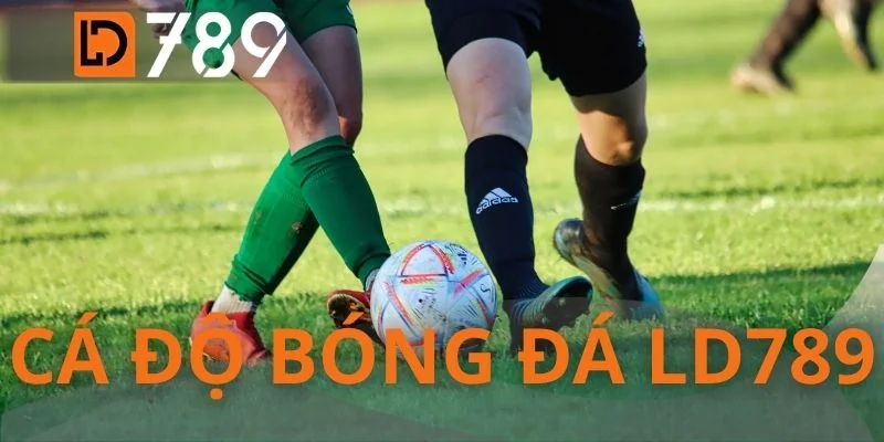 Cá Độ Bóng Đá LD789 - Chinh Phục Kèo Cược Bằng Dữ Liệu