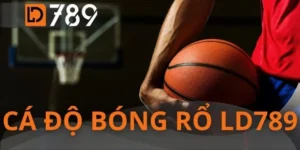 Cá Độ Bóng Rổ LD789 - Đấu Trường Soi Kèo Số 1 Việt Nam