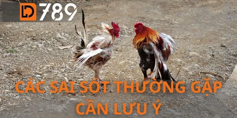 Các sai sót thường gặp cần lưu ý