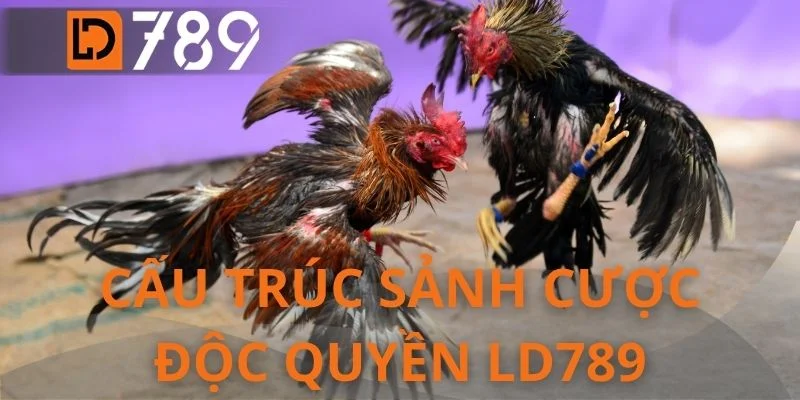 Cấu trúc sảnh cược độc quyền LD789