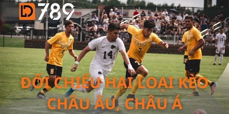 Đối chiếu hai loại kèo châu Âu, châu Á