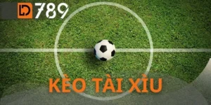 Kèo Tài Xỉu - Ván Cược Đỉnh Cao Thay Đổi Vận Mệnh