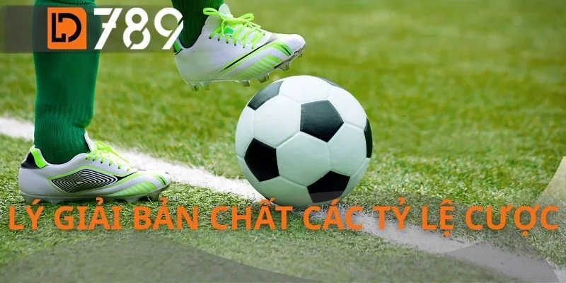 Lý giải bản chất các tỷ lệ cược