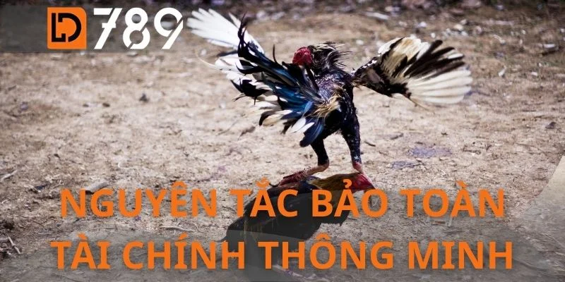 Nguyên tắc bảo toàn tài chính thông minh
