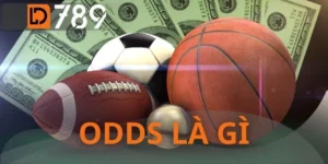 Odds Là Gì - Đọc Vị Con Số Quyền Lực Từ Nhà Cái LD789