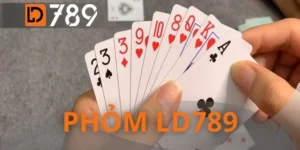 Phỏm LD789 - Sân Chơi Của Bậc Thầy Tư Duy Chiến Thuật