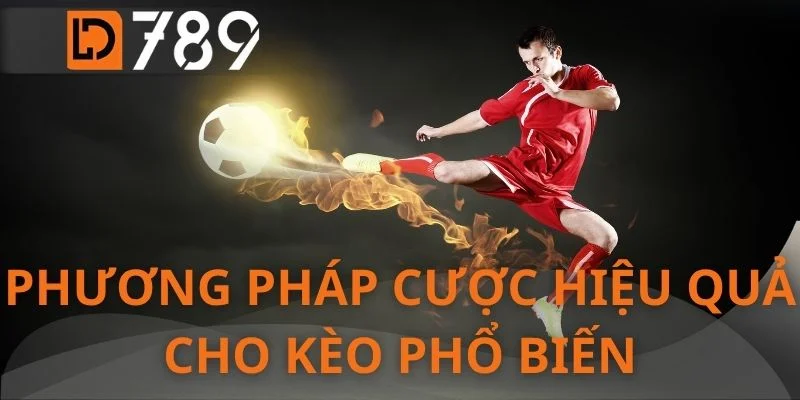 Phương pháp cược hiệu quả cho kèo phổ biến