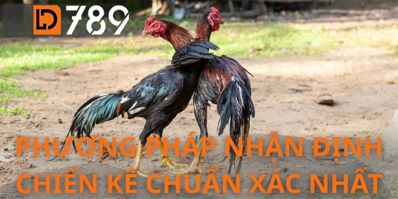 Phương pháp nhận định chiến kê chuẩn xác