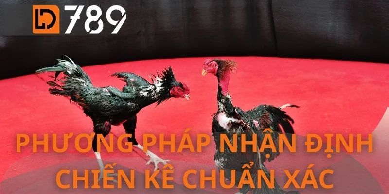 Phương pháp nhận định chiến kê chuẩn xác nhất