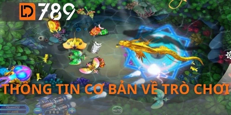 Thông tin cơ bản về trò chơi
