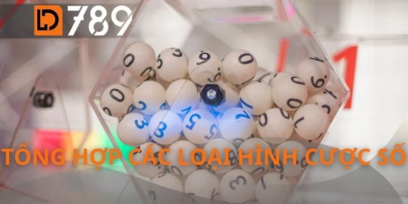 Tổng hợp các loại hình cược số