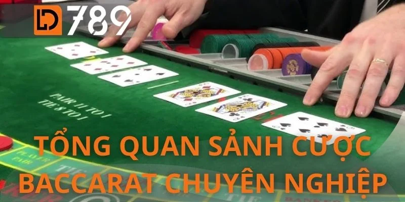 Tổng quan sảnh cược Baccarat chuyên nghiệp