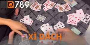 Xì Dách - Đấu Trí Đỉnh Cao Thống Lĩnh Mọi Ván Cược